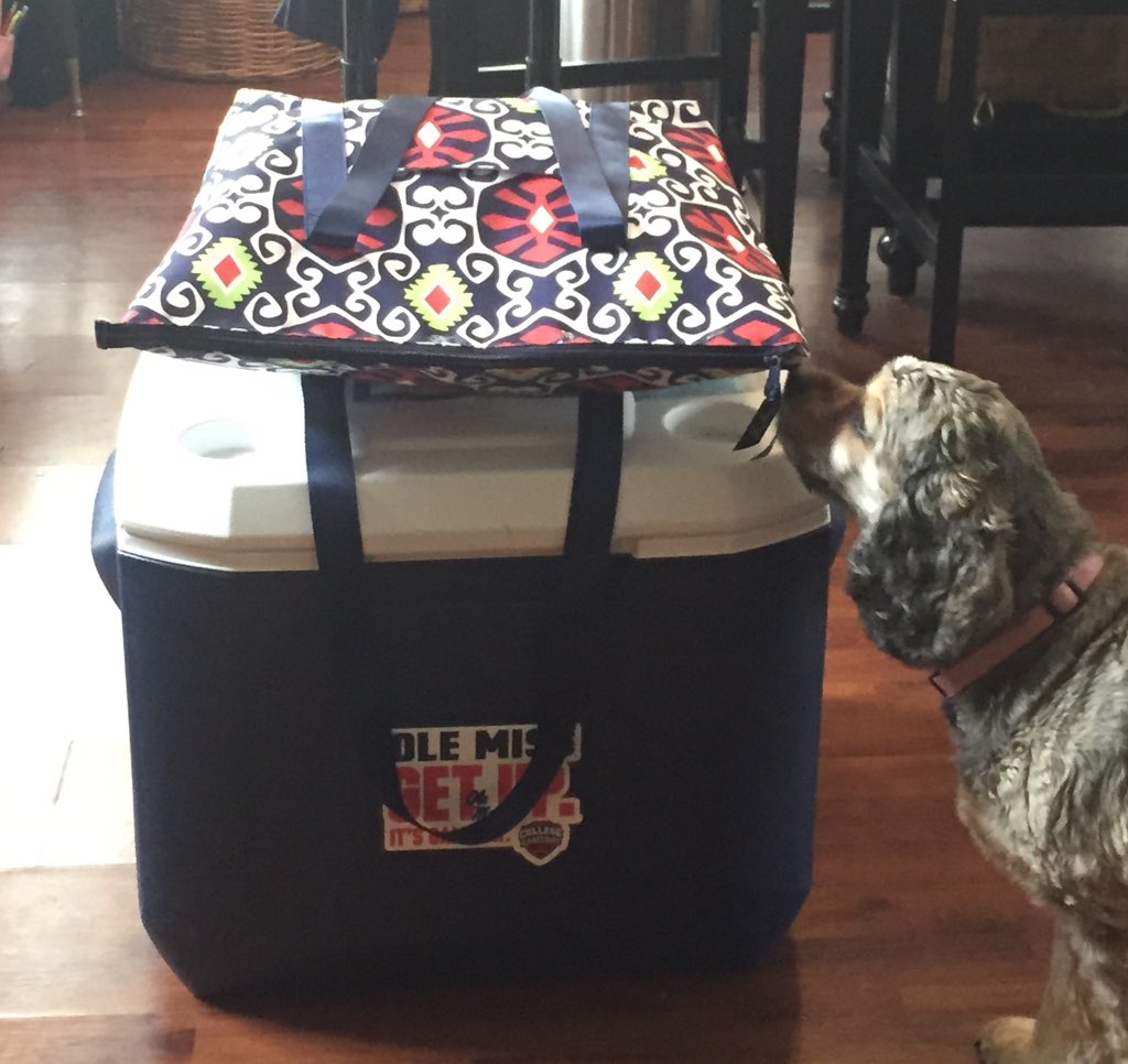 Cheryl_Rebel's tweet photo. Callie and I are ready. Whyyyy we leaving so late? #HottyToddy #gameday #FamFail (Koko not going) https://t.co/zGdDqCN3Lj