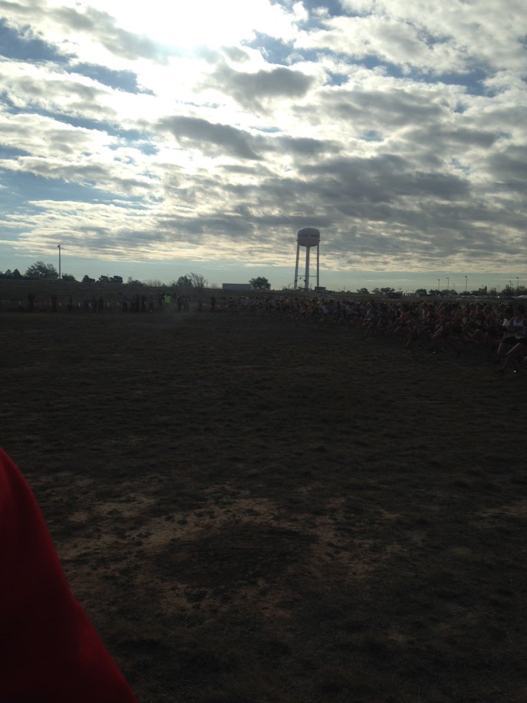 DBUXCTF's tweet photo. And they're  off!! #diiregionals #dbuxc https://t.co/lNcxuez1iV