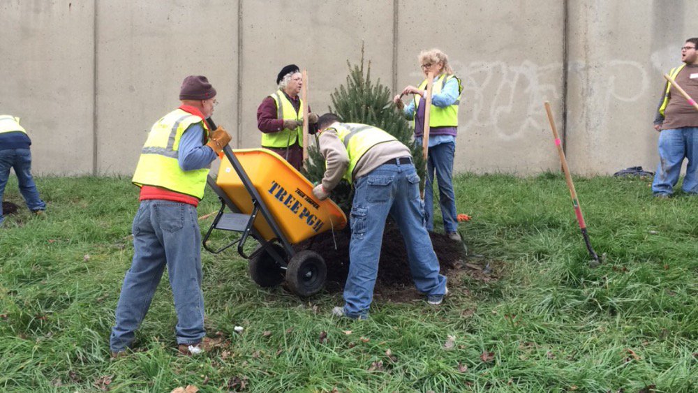 Way to go, Manchester! 15 new trees along Chateau! <a href="/TreePgh/">Tree Pittsburgh</a>