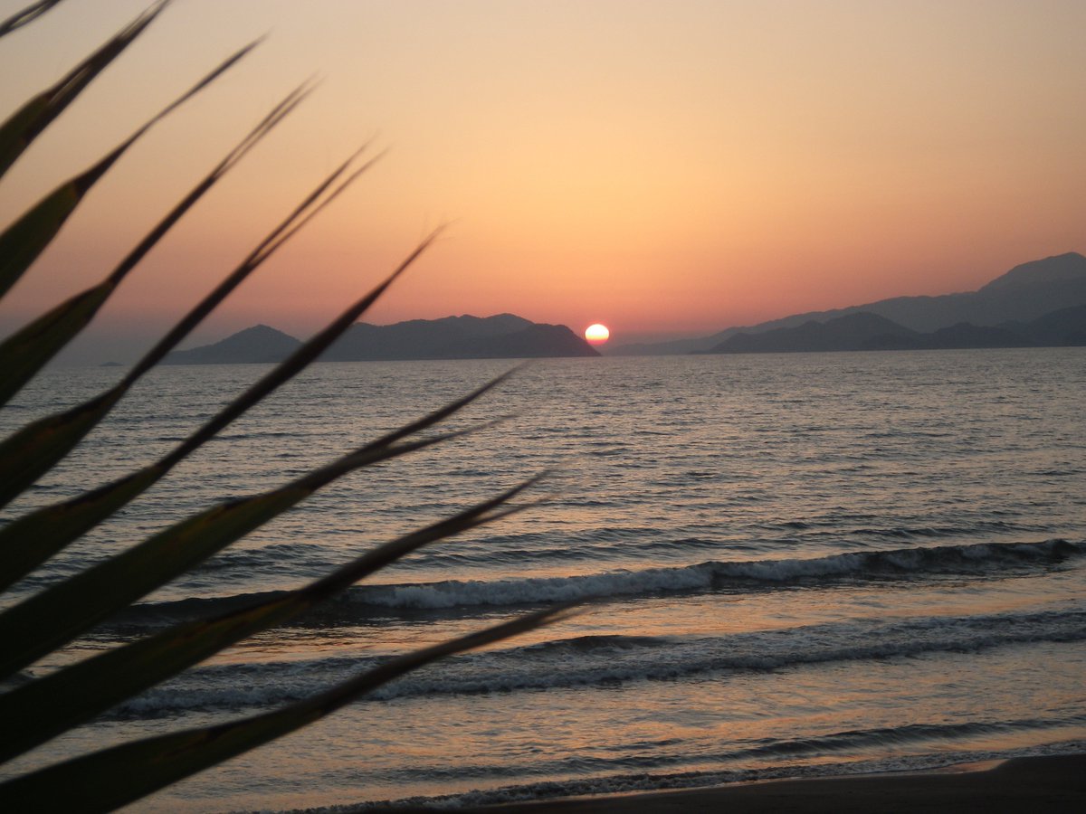NeilsonAndriake's tweet photo. ...just a few of us here now but still enjoying beautiful #weather and magnificent #sunsets... https://t.co/sAV9PfwEsG