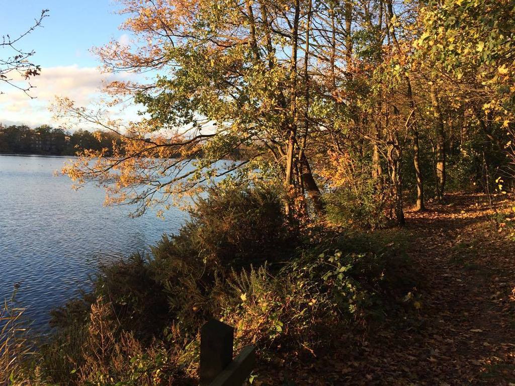 PaulJennings's tweet photo. #leafpatrol at Olton Mere sailing club https://t.co/3yrEK8RXU1 https://t.co/myZyPNjD7u