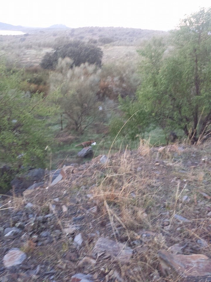 elexlacas's tweet photo. Cuidado al hacer las necesidades  en el campo donde dejamos el papel.... https://t.co/Vl2Z0mdnky