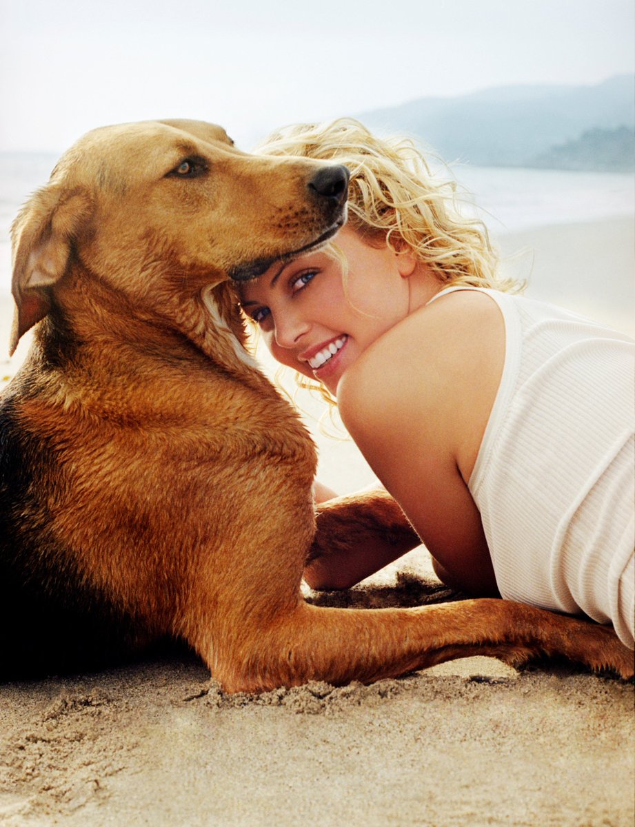 Пес любовный аромат. Шарлиз Терон с животными. Шарлиз Терон с щенком. Девушка с собакой. Фотосессия с собакой.