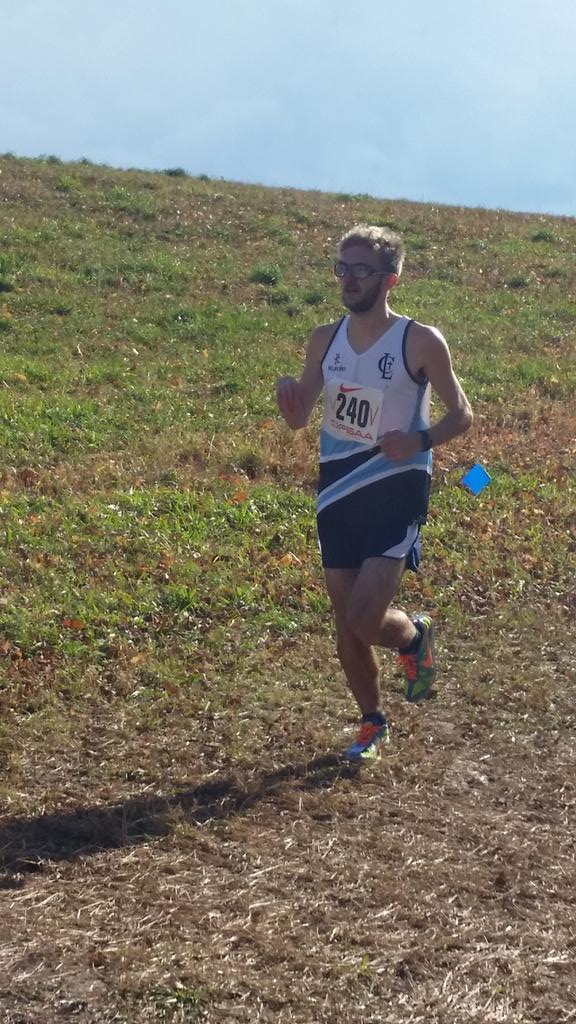 LegerRun's tweet image. Nick Neri winning his third ofsaa gold medal in para 🏆🏃 #ofsaagold @OFSAAXC @CardinalLegerSS