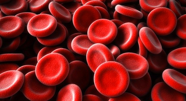 how much blood is in the human body medicalce.com/how-much-blood…  retweet please