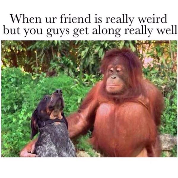 CauseWereGuys's tweet photo. Perfectly describes my best friend and I https://t.co/IAyEkUaCzk