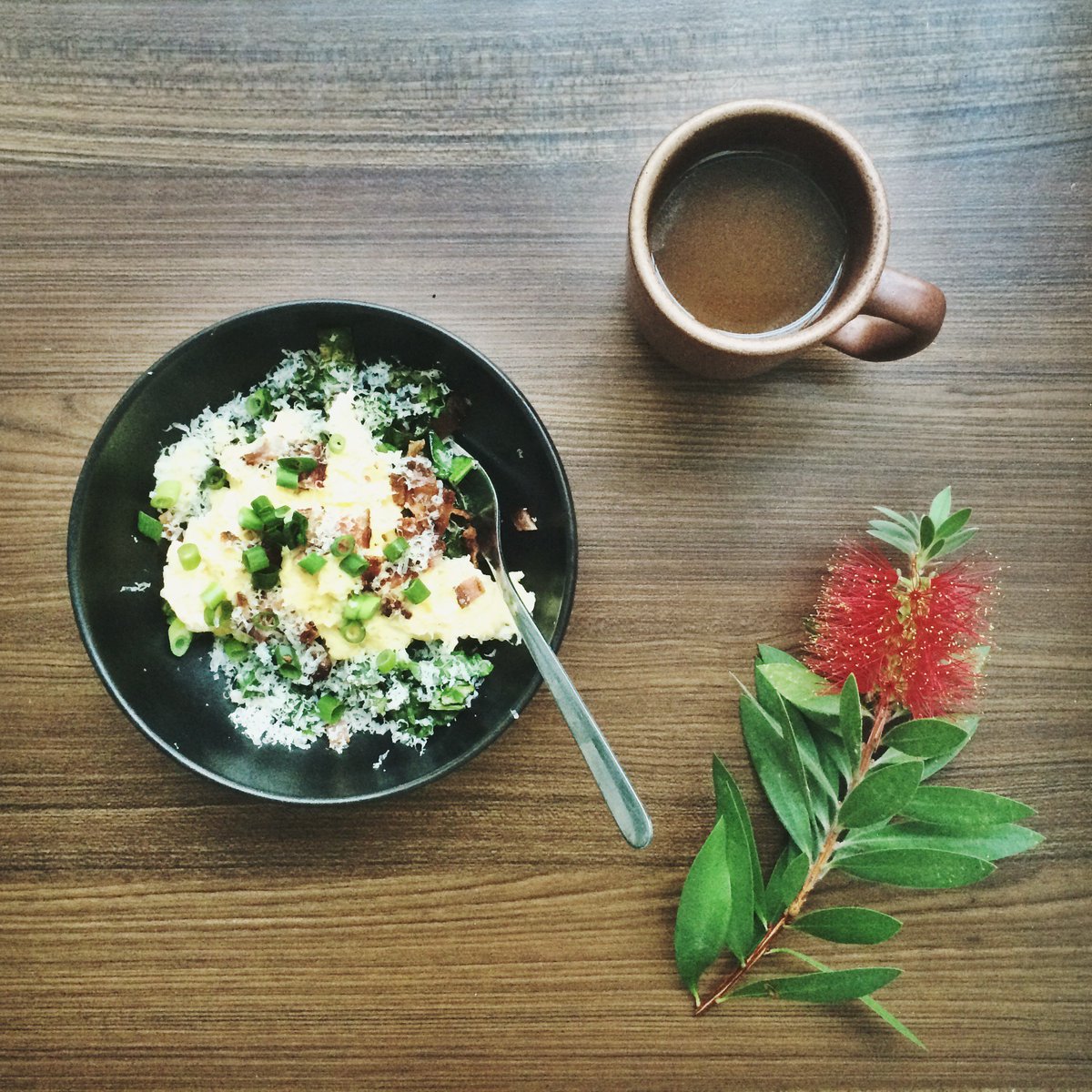 levitybrew's tweet photo. a #saturday power breakfast bowl with @Cloverpetaluma eggs, kale, and #levitybrew #eatlocal https://t.co/FQdLTuZl6F