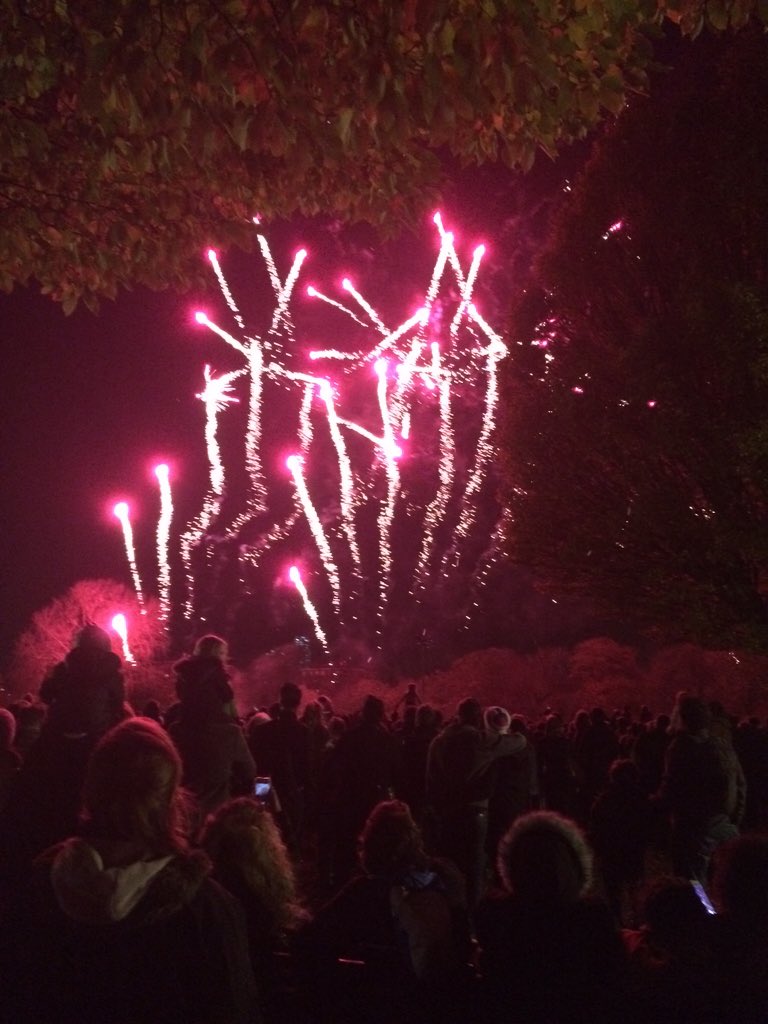 hackneycouncil's tweet photo. That's all folks. See you next year. #hackneyfireworks https://t.co/qcIXIc6x23