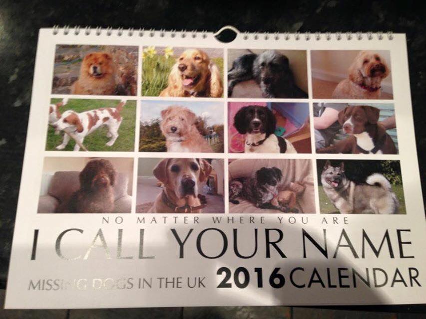 helpfindamyx's tweet photo. @rickygervais Please buy and rt missing dogs charity calendar #Christmas #present #dogs https://t.co/7AiEc0xYHp