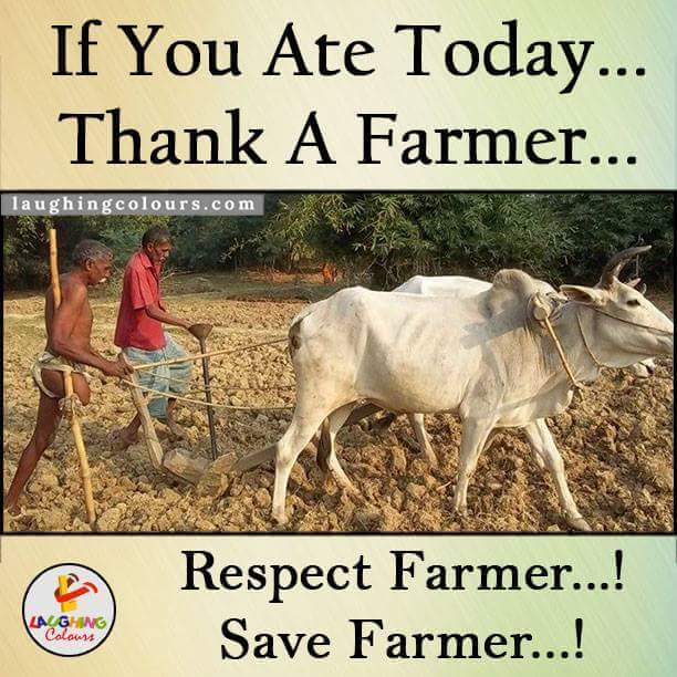 amitjainwzpINC's tweet image. #ModiToadiesMarch