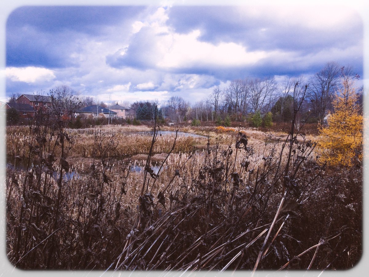 Some great fall weather in <a href="/Ptbo_Canada/">PTBO_CANADA 🇨🇦</a>