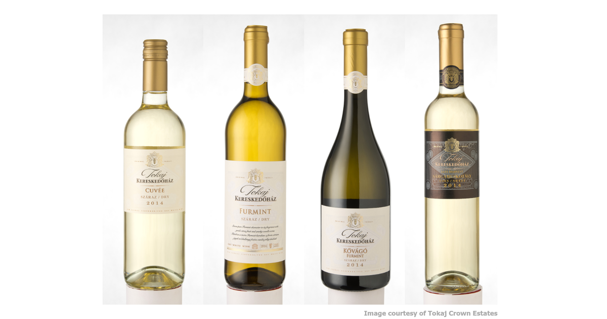 Gergely Somogyi tweet media