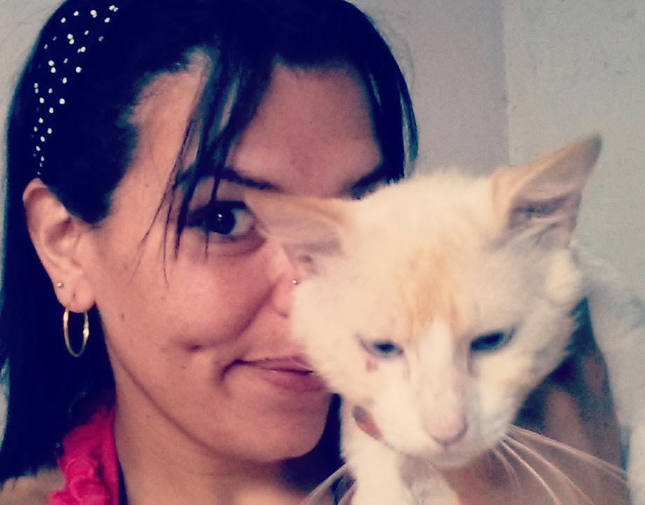 Chatchatcatcat's tweet photo. #boatarde #mycat #instacat #pet #mordedordenariz #snow #snowwhite #flocodeneve #meuparca #gato #abusado #brigao #ma… https://t.co/iCWG0ILP67