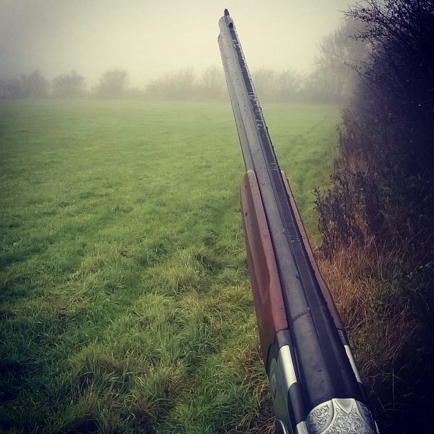 speckywright's tweet photo. Last week on the pigeons and crows, #pigeon #shooting #crows #12gauge #shotgun #fieldsport #leicestershire https://t.co/pGPOMJn02f