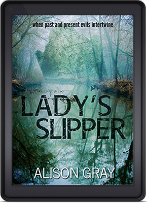 IndieBookoftheDay tweet media