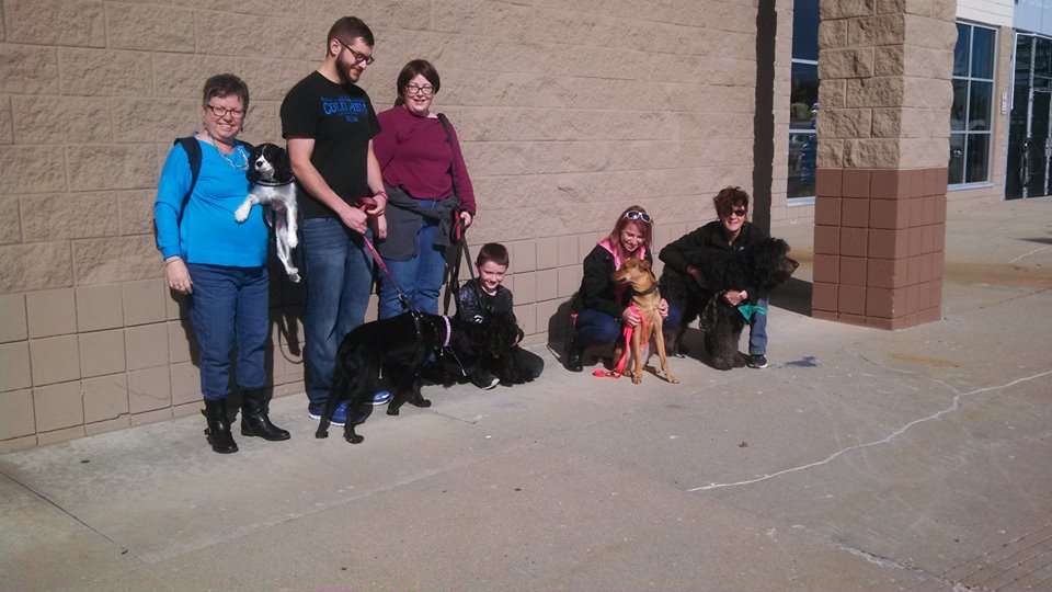 dogcoach's tweet photo. Future Therapy Dogs at Lowe`s today! First class. Awesome. All of them. https://t.co/KWiv9BHpXC