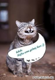 Uyuku moduna gircem yarnn..