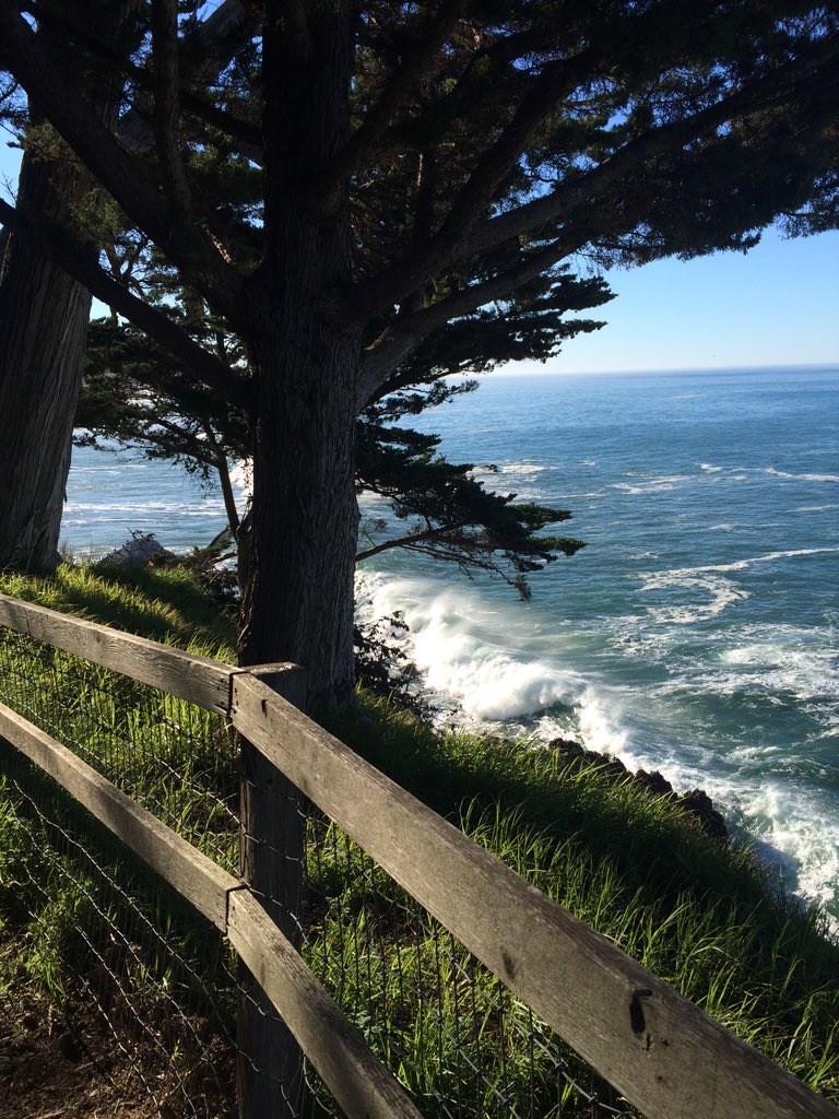 Sunshine tweet media