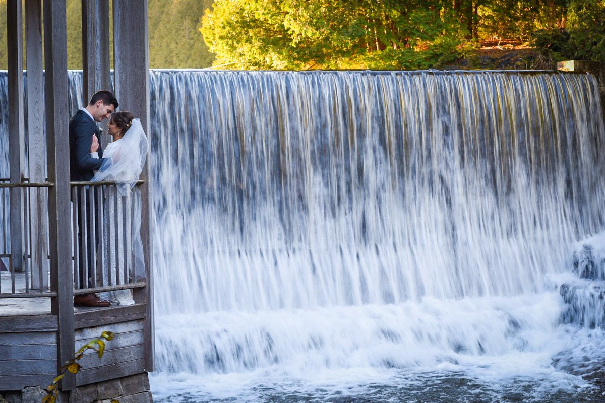 Doug Logan tweet media