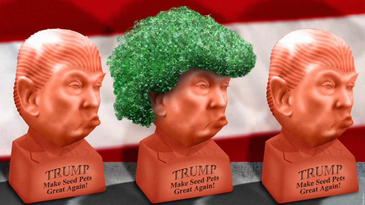 Funny "chia pets" Democratic Underground