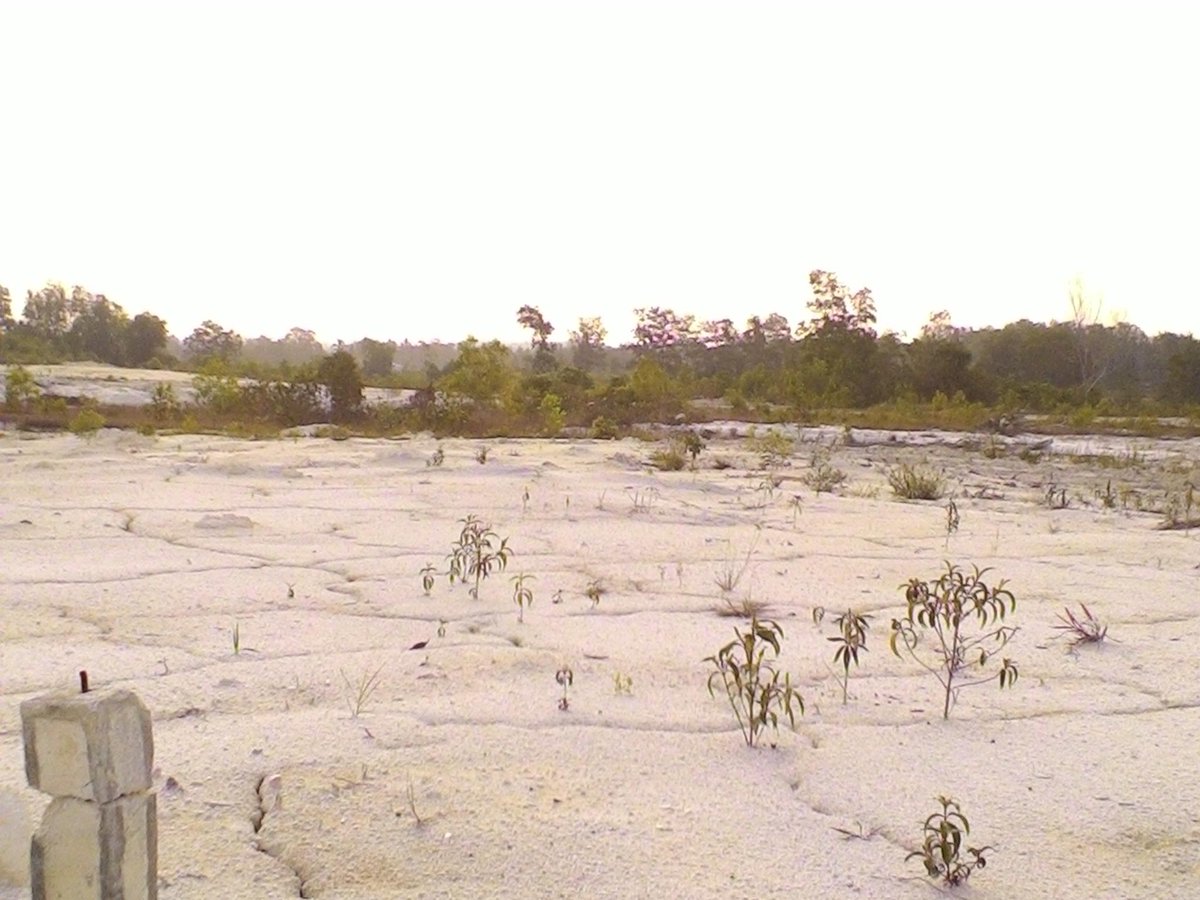 qodri575's tweet photo. #AKBM Ayo belajar agri bisnis untuk memanfaatkan lahan tidur dan lahan eks tambang yg tersebar di pulau Belitung. https://t.co/4W8amoEgi6