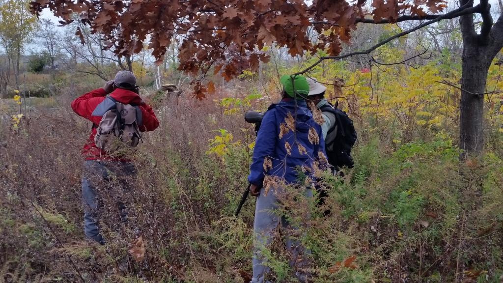 IdlewildFriends's tweet photo. We counted 13 species during our Birdwatching tour today! thanks @birdingdude @CitizensNYC https://t.co/APYpkNXqIs
