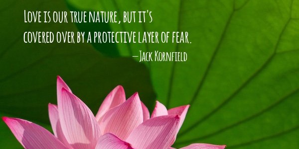 JackKornfield's tweet photo. Buddhist practices unearth the gold beneath the clay, and return us to our natural goodness. https://t.co/jHjvf6YCZf https://t.co/rZ5AHlzefD