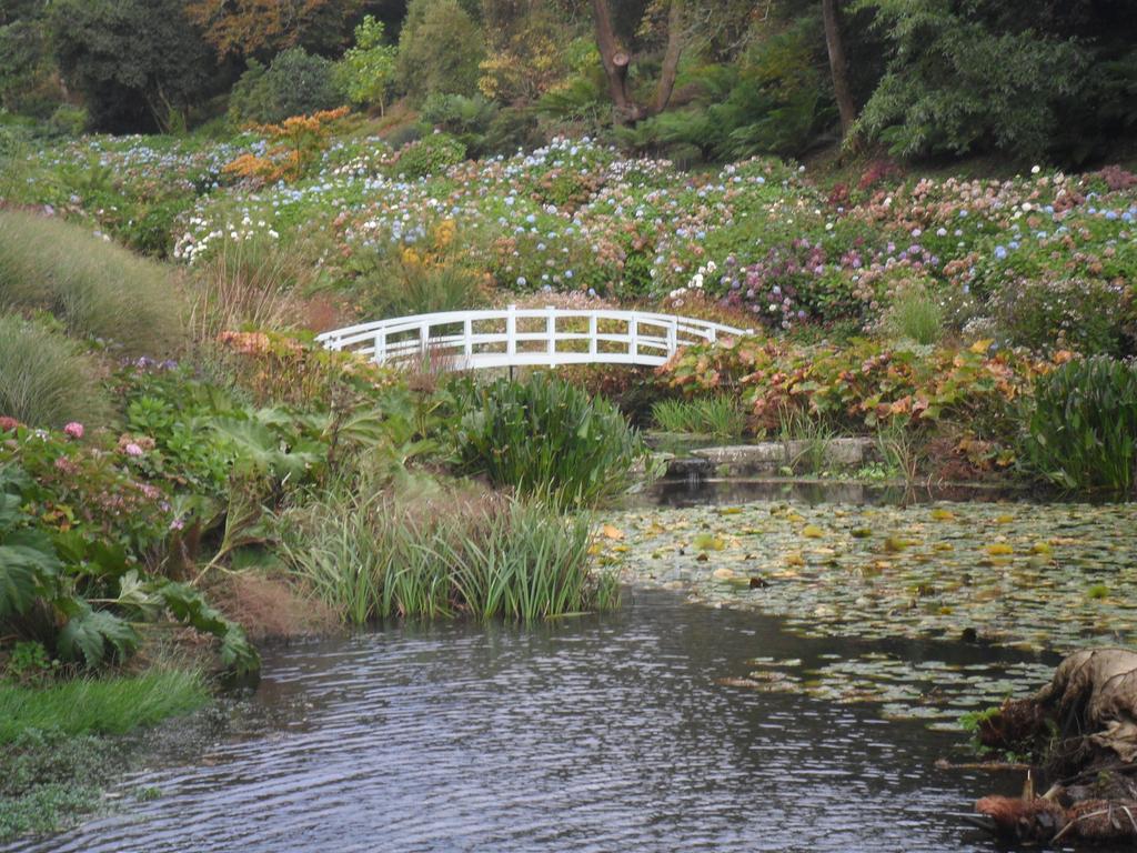 Had a fab day out at @trebahgarden whilst holidaying in Cornwall @ILoveCornwallUK #cornwall #trebahgardens