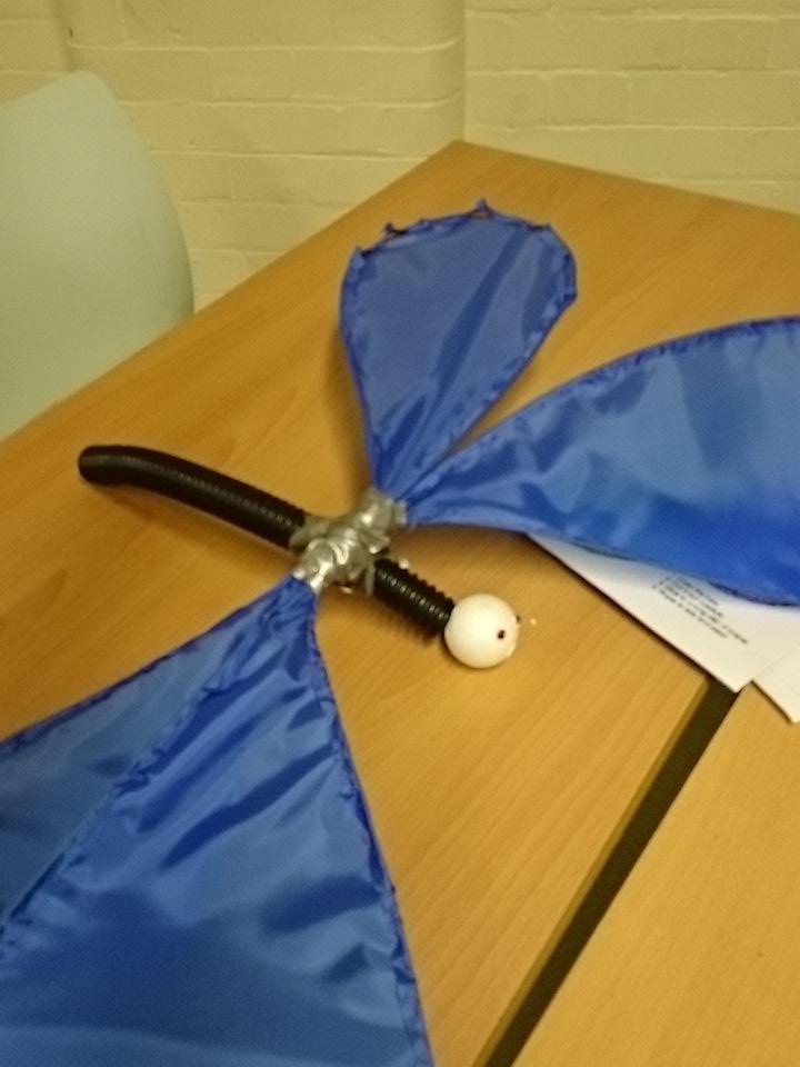 ESYLancing's tweet photo. #sol2015 one of our many creations https://t.co/9qn15zgHQ7