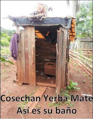 80% de familias que cosechan Yerba Mate tienen letrinas.40% SIN agua potable change.org/digonoaltrabaj…