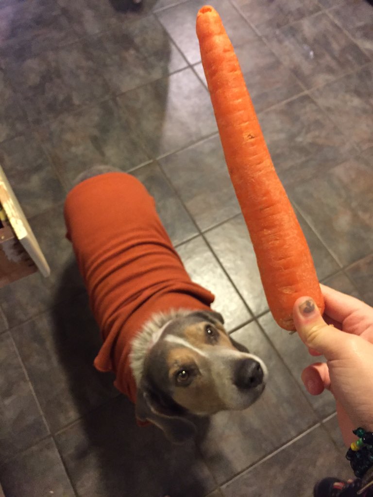 BoiSausage's tweet photo. My owner is a fuckin asswipe https://t.co/Q3xZUe52N2