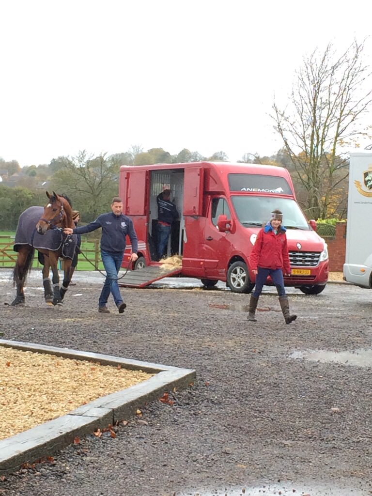 Thank you <a href="/LandorTransport/">Landor Transport</a> for delivering my lovely horse today