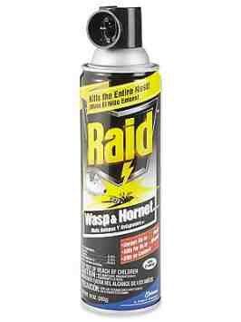 TheJacksonSmart's tweet photo. New gimmick concept 4 @themarchauss after he kills @MINDofHORNET dead at @BarrieWrestling #WhoseHauss #KillsBugsDead https://t.co/1KrBTDrlWO