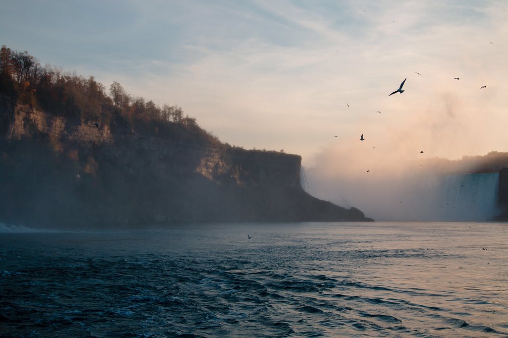 heynadine's tweet photo. I'm just happy there is now a bird emoji 🕊🕊🕊 FINALLY!! #niagaraparks 🇨🇦 enjoying the view https://t.co/UEkhrVV7pc https://t.co/GsS00Bzc7c