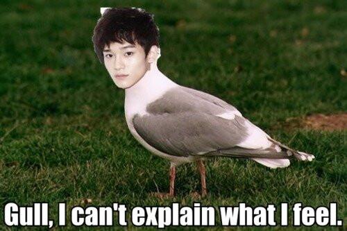 rememberwhenexo's tweet photo. remember the old fandom jokes oHMYGOFDS IM DYING https://t.co/bipQhhWCux
