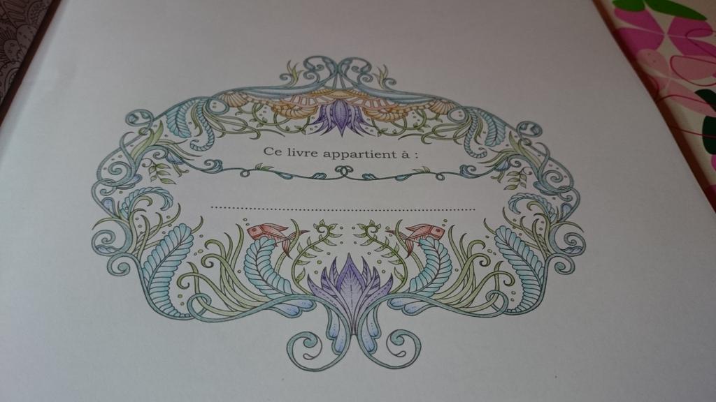 annahawk81's tweet image. #lostocean #oceanperdu