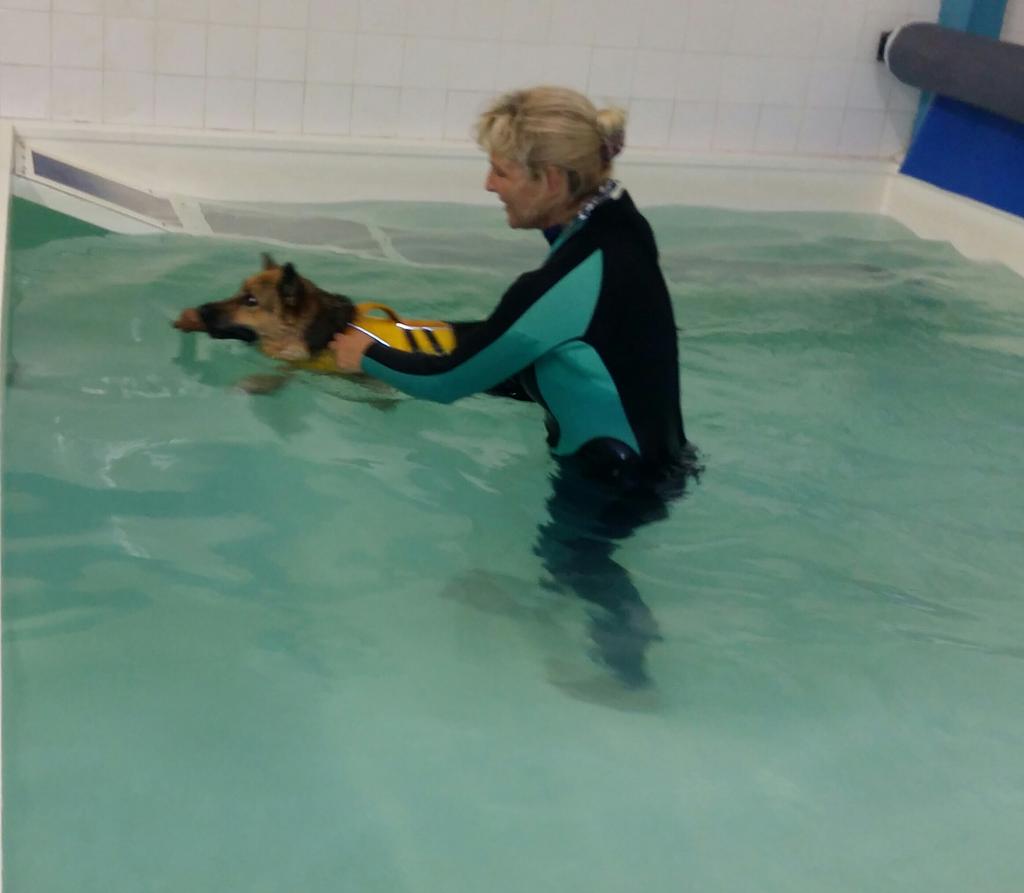V1964Paul's tweet photo. Sheba really enjoyed her hydro session at @Moredge Thank you Jacqui for taking care of her @V1964Paul https://t.co/HJ9fF5L0lu