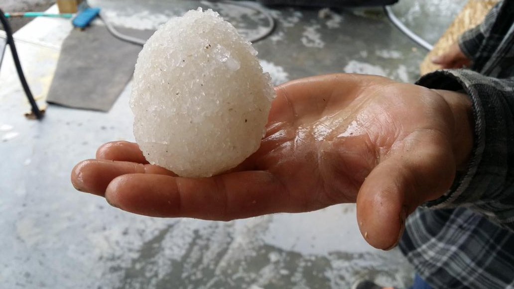 MatthewHeayn's tweet photo. That was a lot of #hail in Trenton, Ontario a few hours ago! @Trentonian #weather https://t.co/CmUWHp02oc
