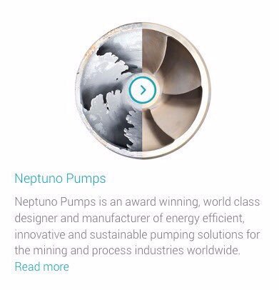 Neptuno Pumps tweet media