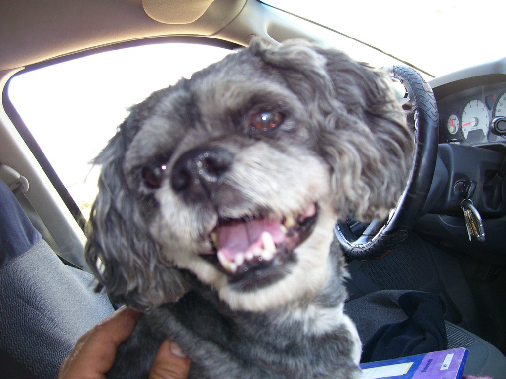 Joriginals1's tweet image. Enjoying a great Day. #myassistant #loveherlaugh #backtowork getting ready for @makeitshow @Northlands nov 26-29