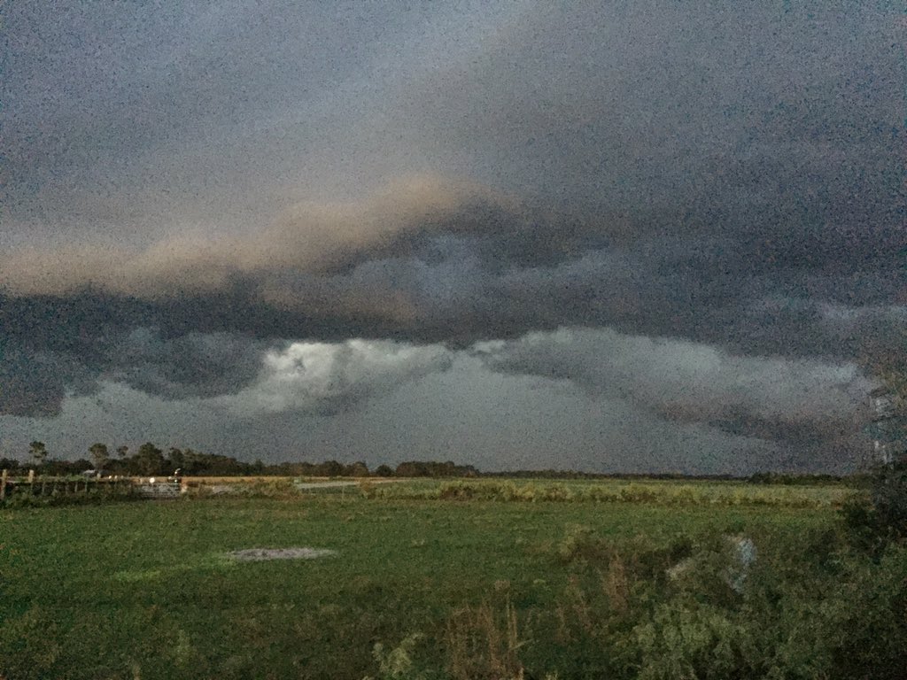 leemag1129's tweet photo. @PaulFox13 Myakka City https://t.co/Lc87jPq6RI