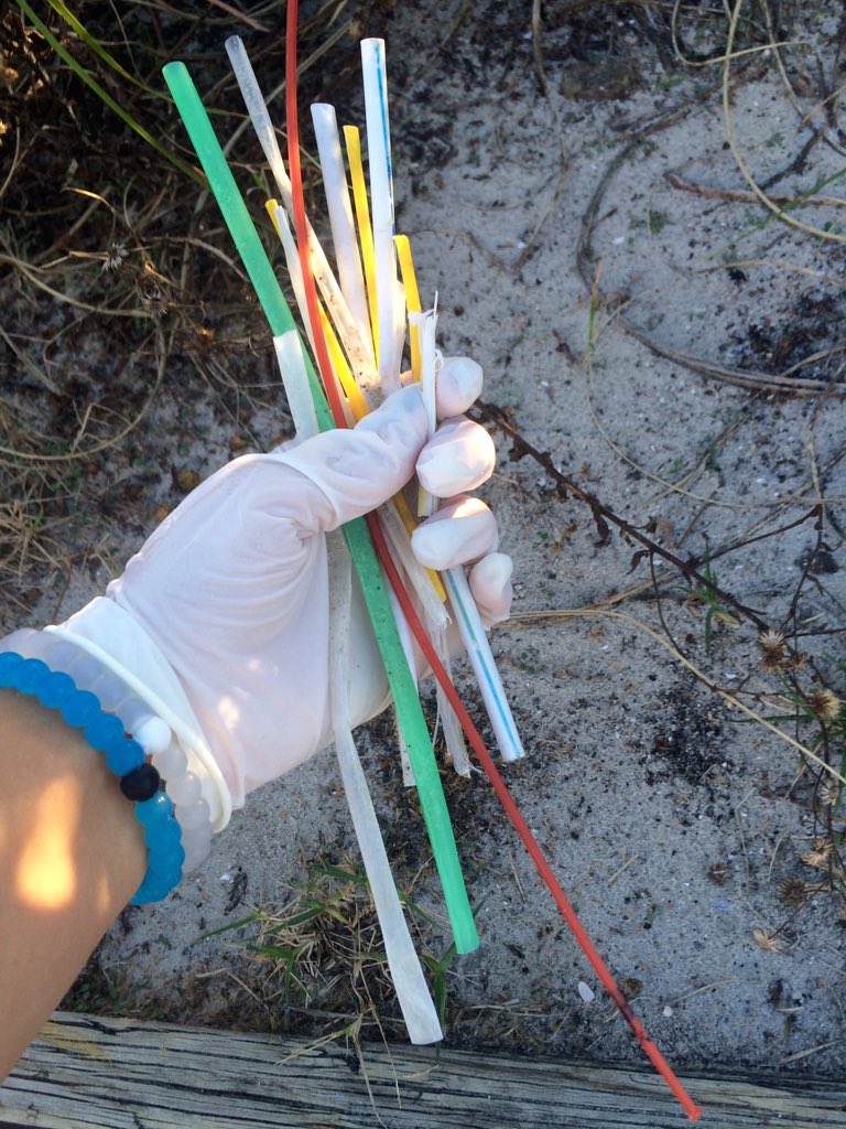 uncwpop's tweet photo. Today was perfect!! 14 straws, 37 cig butts, a nightstand, and a gross sock🌊🦀 #CleanCoastlines #UNCWPOP https://t.co/tYngo3ZtqX