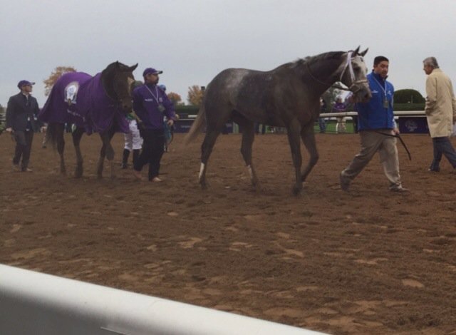 havenmoon's tweet photo. Well boys, thought it was the last time I'd see ya.😔Hopefully '16 pans out....
#BCC15 #Tonalist #Frosted #Effinex https://t.co/5ZhPofdAc1