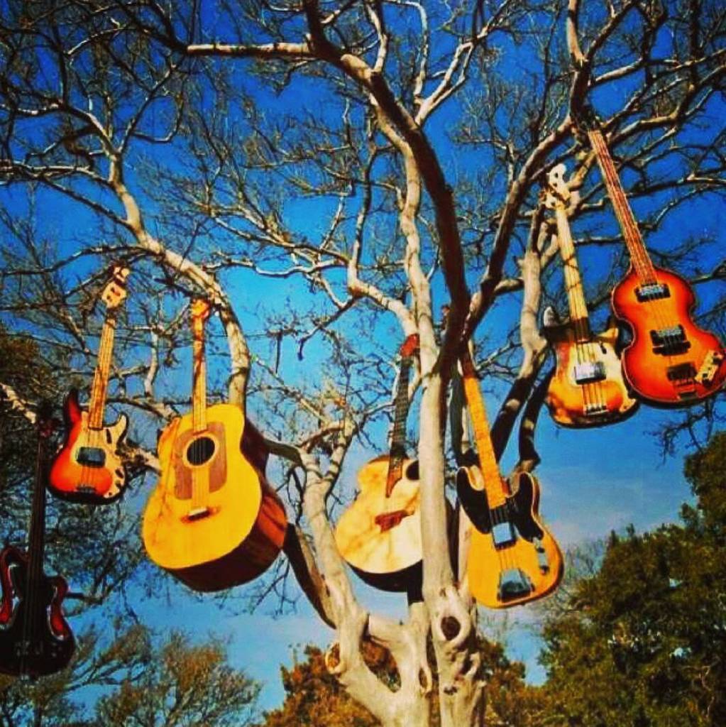 OrtizLaMarca's tweet image. #musictree #guitar #guitars #guitarras #audio #nature #bosque #guitarist #producerlife #wo… ift.tt/1Ow9e2z