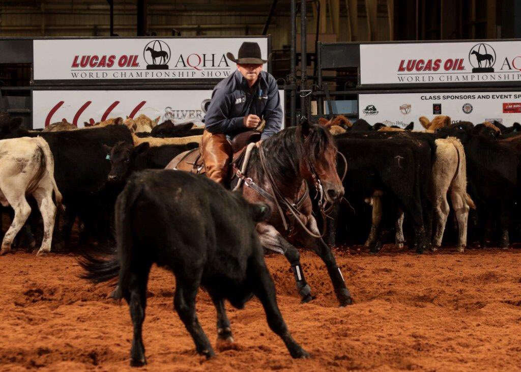AQHA's tweet photo. Meteles Cat and Cody Hedlund were a cut above the rest and took home the gold globe in Jr Cutting at the #AQHAWorld! https://t.co/h6B0pbYH3y