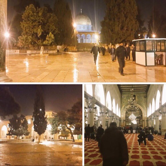 iFalasteen's tweet photo. From fajer prayer now inside Masjed AlAqsa  #FreePalestine https://t.co/ukPB5izWZI