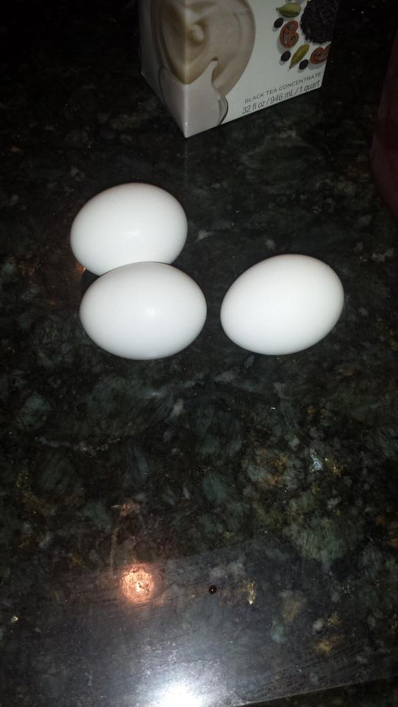 JasonShard_'s tweet photo. @TheNexusMC @JeromeASF @Bajan_Canadian I got 3 eggs can I go kill people now #MoneyRush #Deadly https://t.co/uLJoQy6M9d