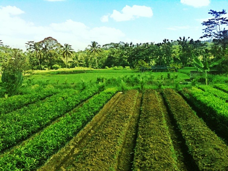 78+ Gambar Allah Pemandangan Terbaik 78+ Gambar Allah Pemandangan Terbaik