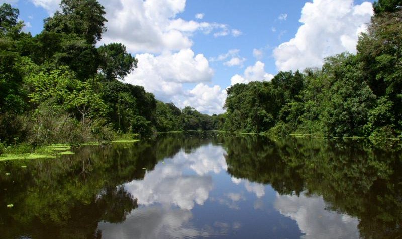 LimaCop20's tweet image. BUENA NOTICIA!
El primer proyecto aprobado por el @GCF_News es peruano ¡Conoce los detalles!
goo.gl/HAHsyI