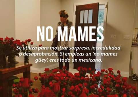 JhonOsorno4's tweet photo. #ANoMames https://t.co/bfInW91XeE